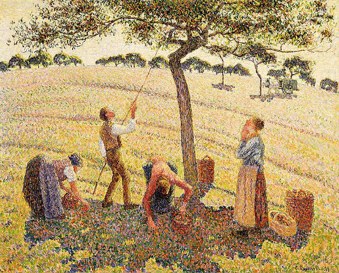 Apple harvest at Eragny, Camille Pissarro